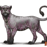 lioden wardrobe10 ezgif.com effects.png