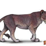 lioden wardrobe12 ezgif.com effects.png