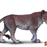 lioden wardrobe13 ezgif.com effects.png