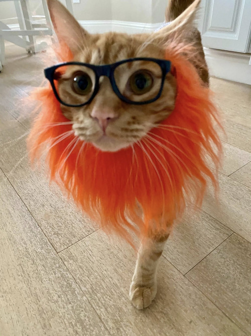 651791442 1312133000964783 5994977896865516640 n.jpg