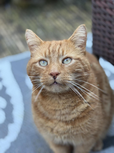 651847792 122290276430217863 1957176319207242551 n.jpg