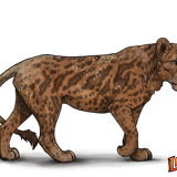 lioden wardrobe18 ezgif.com effects.png