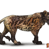 lioden wardrobe19 ezgif.com effects.png