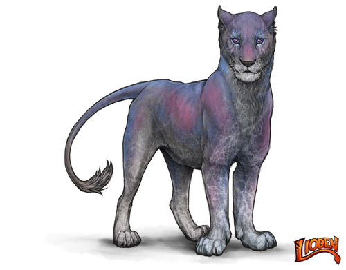 lioden wardrobe (20).png