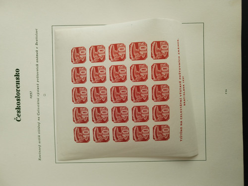 IMG 20260318 082445.jpg