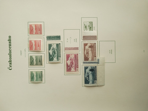 IMG 20260318 082503.jpg