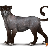 lioden wardrobe23 ezgif.com effects.png