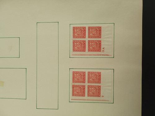 IMG 20260318 082642.jpg