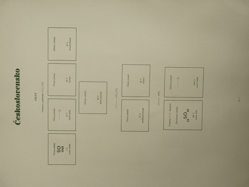 IMG 20260318 082557.jpg