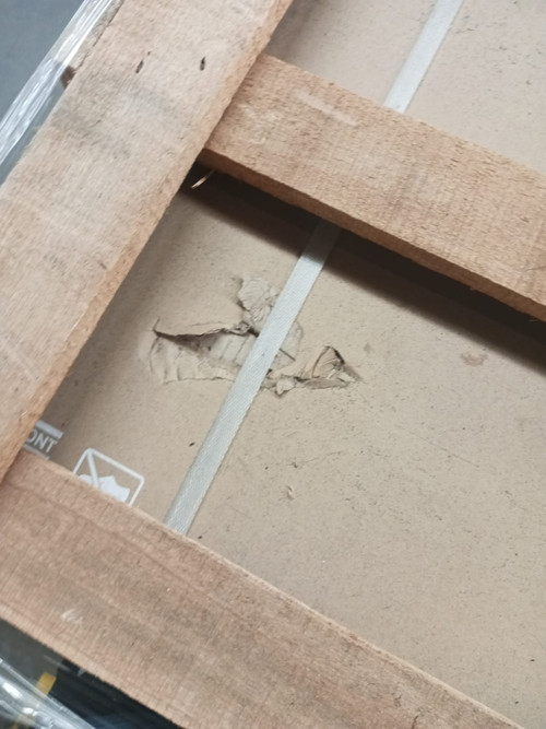 WhatsApp Image 2026 03 19 at 15.42.26.jpg