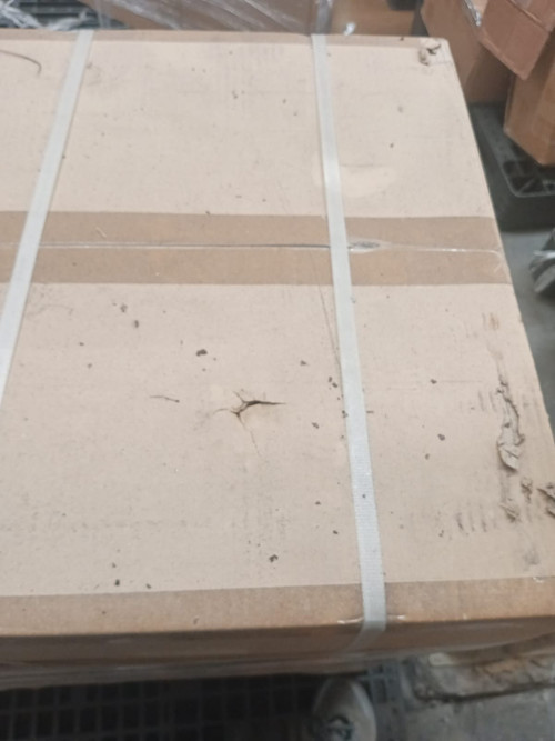 WhatsApp Image 2026 03 19 at 15.43.12.jpg