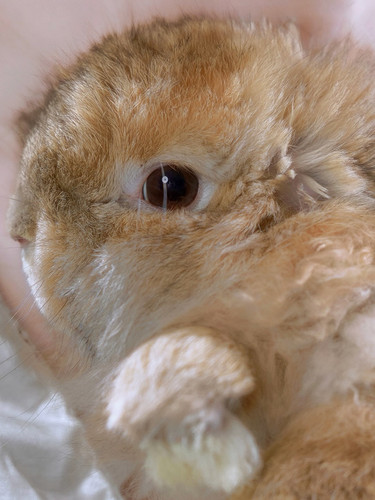 20260318 085013 DWBQqimk4w8 07.jpg