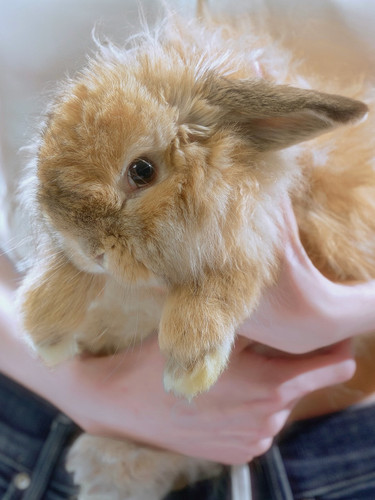 20260318 085013 DWBQqimk4w8 02.jpg