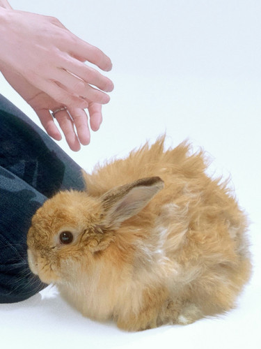 20260318 085013 DWBQqimk4w8 04.jpg