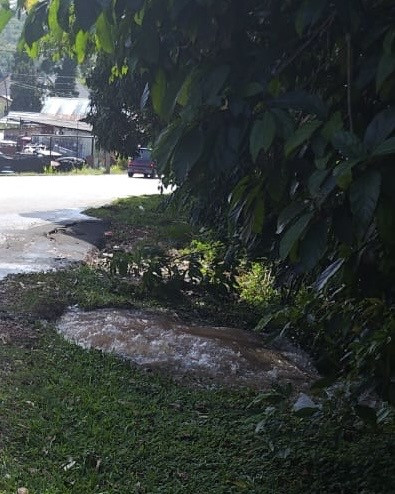 3e952e92 0f8f 4d71 b16c 60dc594c3e7b.jpg