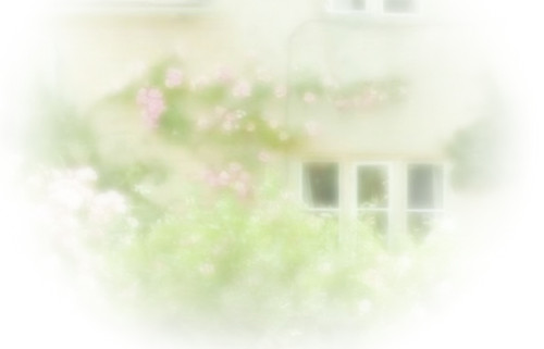 IMG 20260319 100721.jpg