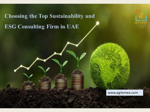 Choosing the Top Sustainability and ESG Consulting Firm in UAE.jpg