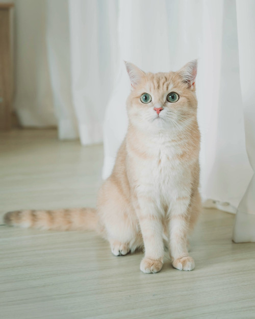 20250901 132147 DOD6WQlktge 04.jpg