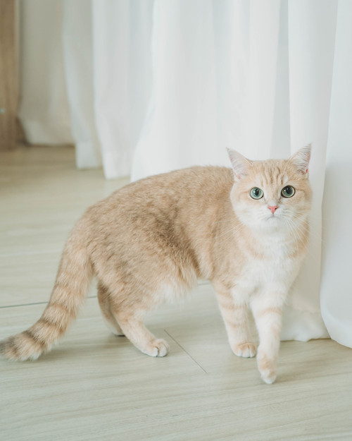 20250901 132147 DOD6WQlktge 07.jpg