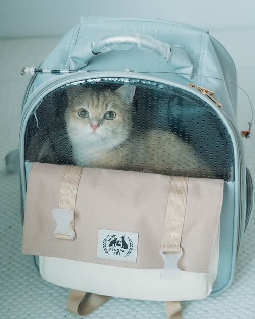 20250901 132147 DOD6WQlktge 06.jpg