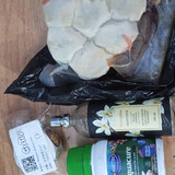 WhatsApp Image 2026 03 19 at 09.25.30.jpg