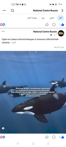 Screenshot ٢٠٢٦ ٠٣ ١٩ ٠٣ ٠٧ ٢٣ ٥٤ a23b203fd3aafc6dcb84e438dda678b6.jpg