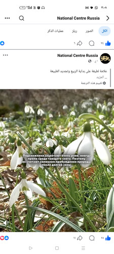 Screenshot ٢٠٢٦ ٠٣ ١٩ ٠٣ ٠٨ ٥٨ ٧٦ a23b203fd3aafc6dcb84e438dda678b6.jpg