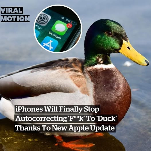 [Image: qjAqLp2.jpg]