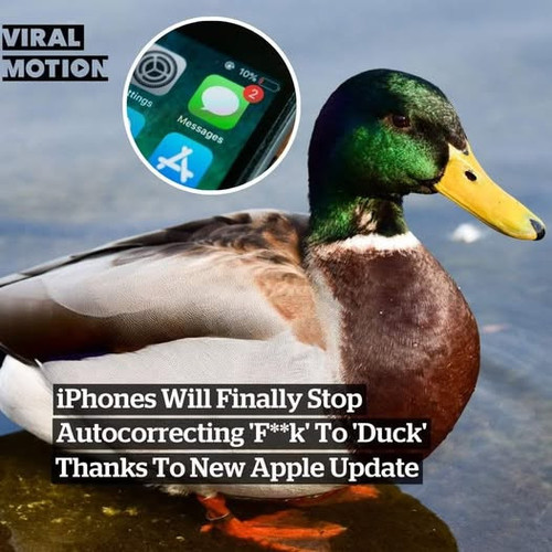 652683339 122215661534513024 6188130577765875029 n.jpg