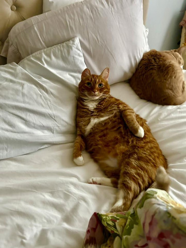 651138757 4412864669033841 4171016718867076881 n.jpg