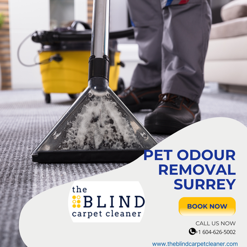 pet odour removal surrey.png