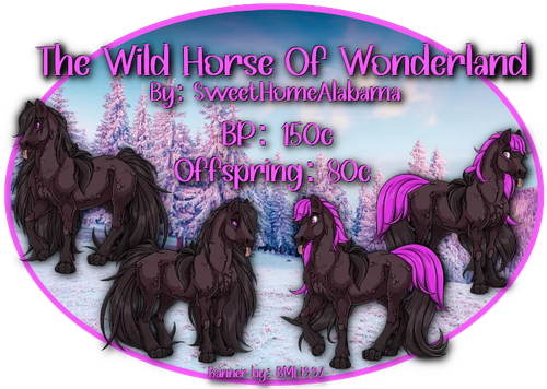 the wild horse of wonderland.png
