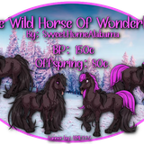 the wild horse of wonderland