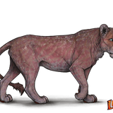 lioden wardrobe24 ezgif.com effects.png