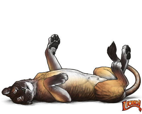 lioden wardrobe27 ezgif.com effects.png