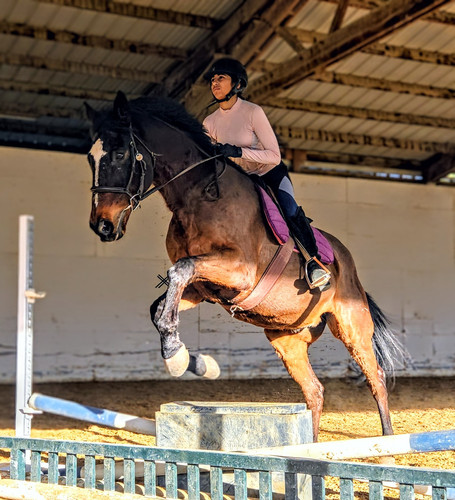 20260117 154009(1)~2 (1).jpg