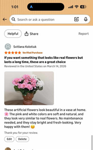 IMG 20260319 WA0040.jpg