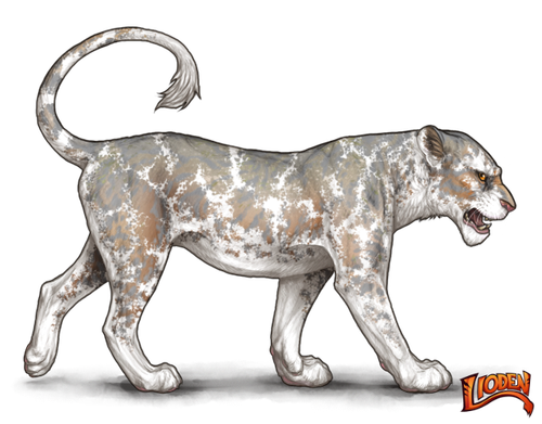 lioden wardrobe (24).png