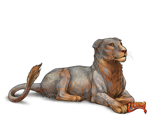 lioden wardrobe (26).png