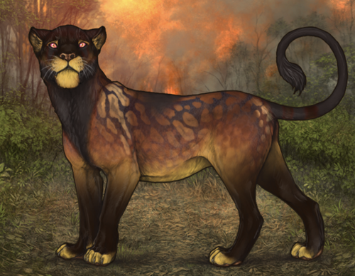 Screenshot 2026 03 18 at 5.09.45 PM.png