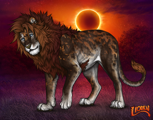 lioden wardrobe 2026 03 19T103320.631.png