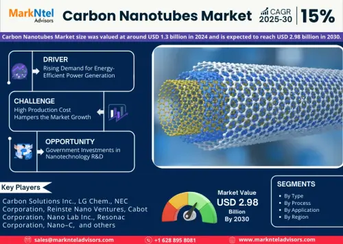 Global Carbon Nanotubes Market Analysis 2030 | MarkNtel Advisors Insights & Forecast.webp