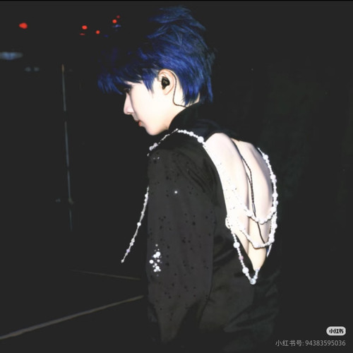 Camera 1040g3k031otms5b91u605q3l3hjnn4fd9uqmepg.jpg