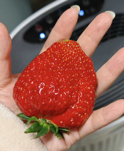 微信图片 20260319093745 12 44.jpg