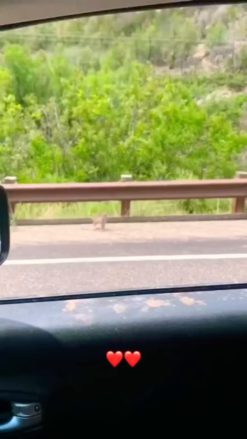 grZD2 lC0lPpt oo.jpg