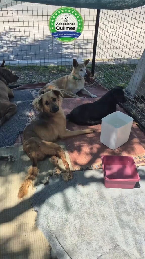 HOJtcUEhX 4Ba3fo.jpg