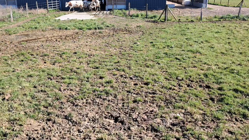 idbVtTrZh mau2lU.jpg