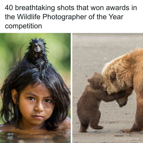 wildlife photographer of the year nhm wpy.jpg