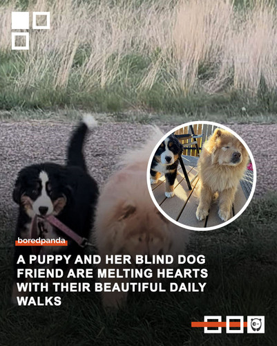 Community Share 3 (1).jpg