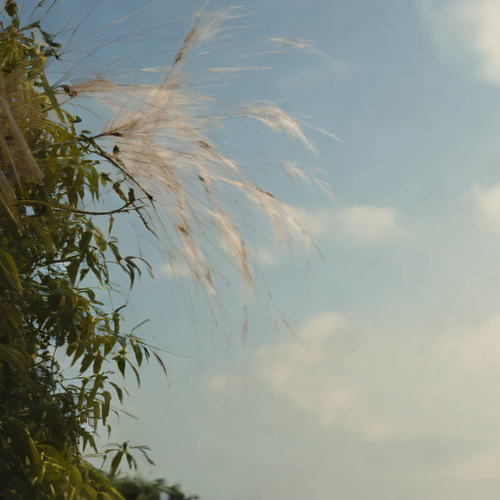 kanji åå¾.png